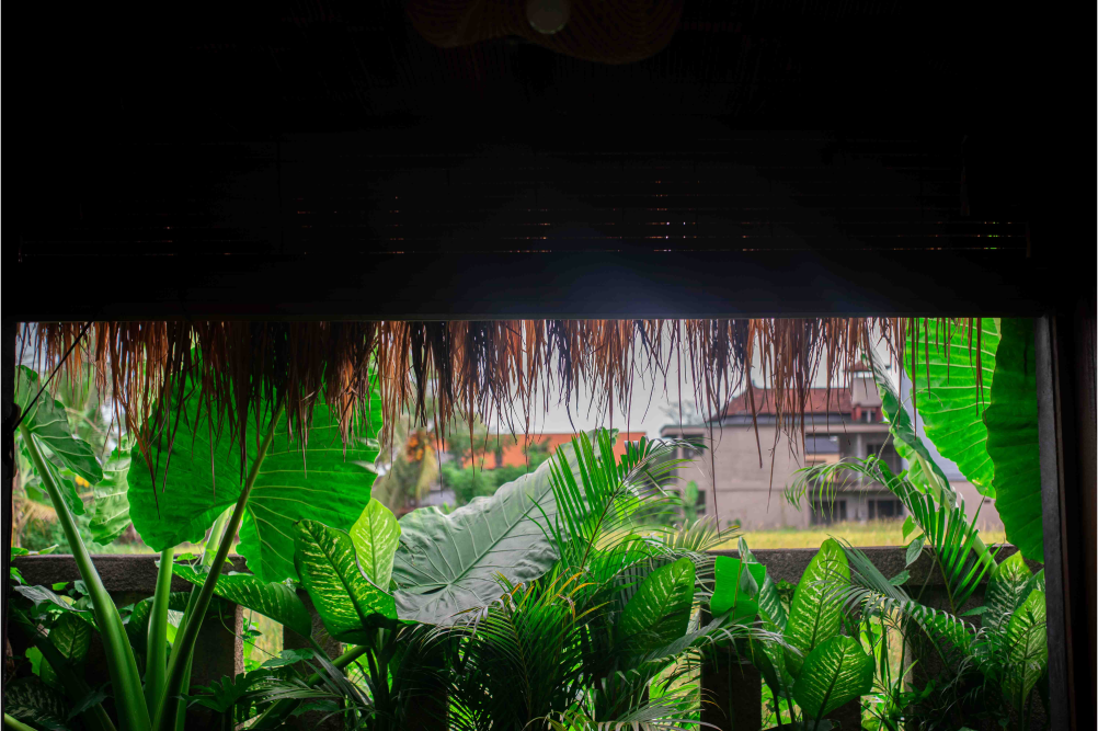 Photo courtesy of Parina Spa